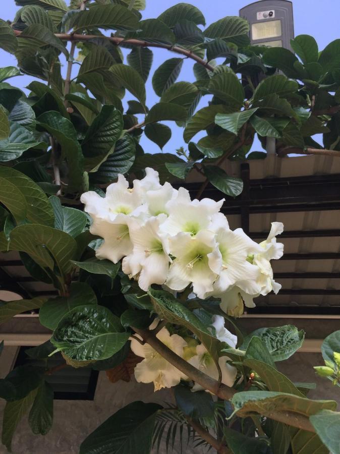 Sapphaya บ้านพักบุหงา199 อ สรรพยา מראה חיצוני תמונה