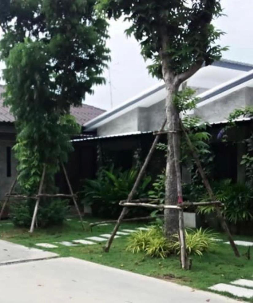 Sapphaya บ้านพักบุหงา199 อ สรรพยา מראה חיצוני תמונה